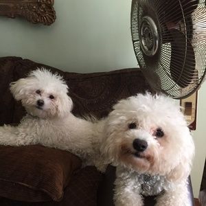 Meet your Posher, Barbara